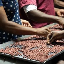 L'usine de production de Nourimanba